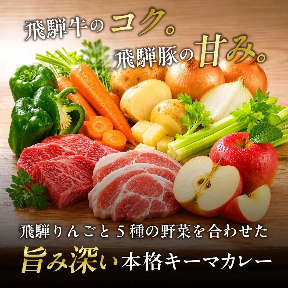 飛騨牛の極旨カレー 20食セット / カレー レトルトカレー 