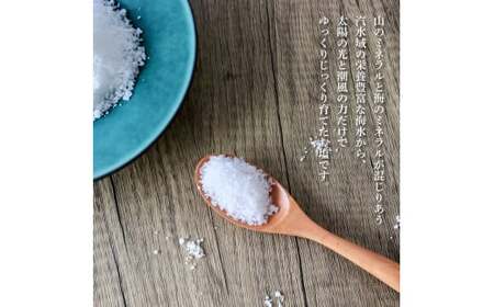 訳あり 田野屋青蜂完全天日塩（400g）