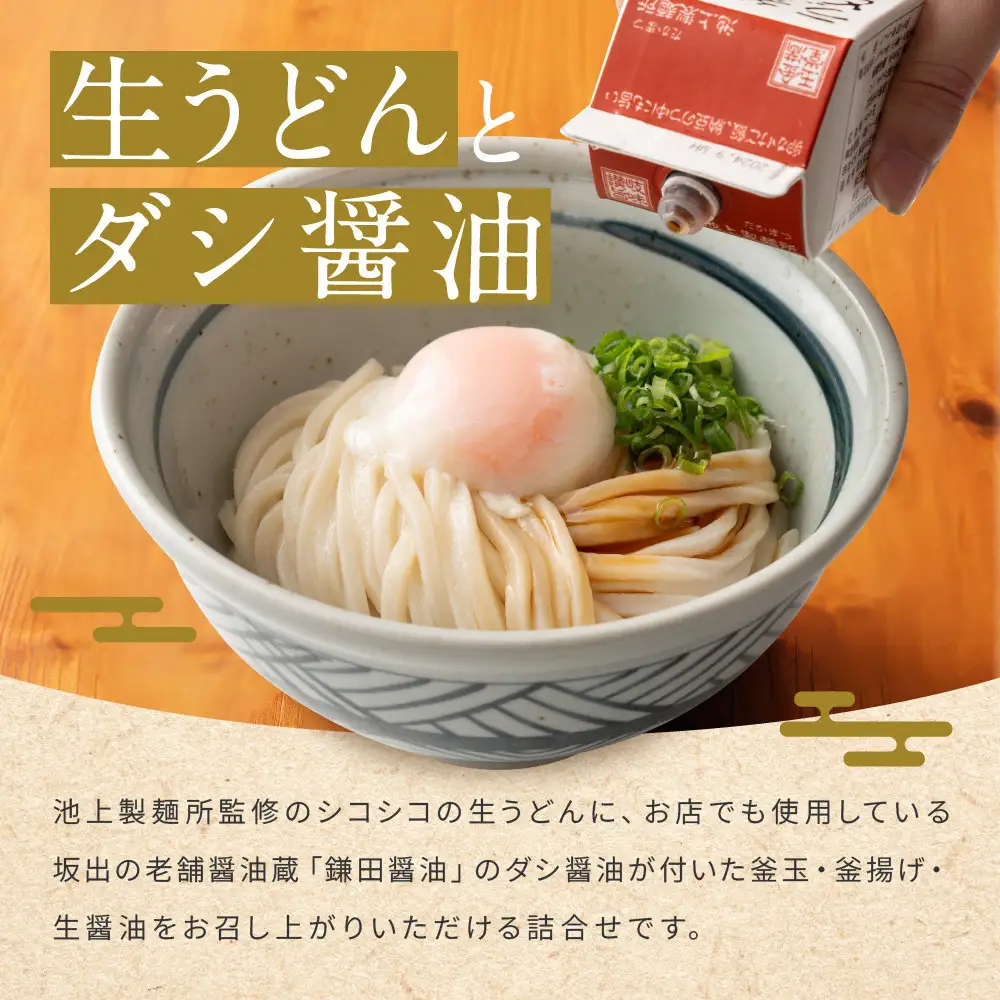【お歳暮ギフト】讃岐生うどん24食入（1袋3食入×8袋）＊鎌田醤油だし醤油付＊池上製麺所監修！｜うどん 生麺 お歳暮