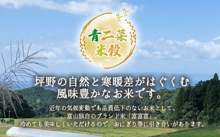 山の湧き水 寒暖差 山里 山里の米･坪野米 R7年産 富富富 5kg   ※北海道・沖縄・離島への配送不可