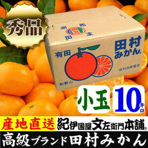 【2026年先行予約】田村みかん 10kg 小玉サイズ 秀品_V7446