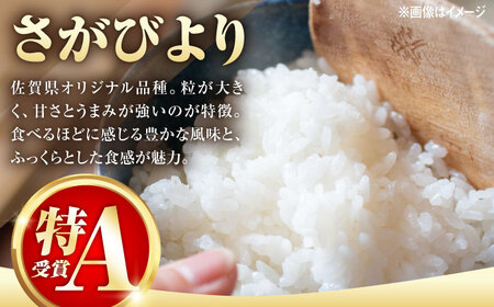 令和7年産米 さがびより 5kg /株式会社 y's company（utsu和ya）[UDX016] さがびより