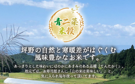 山の湧き水 寒暖差 山里 山里の米･坪野米 R7年産 てんたかく 10kg（5kg×2）　※北海道・沖縄・離島への配送不可