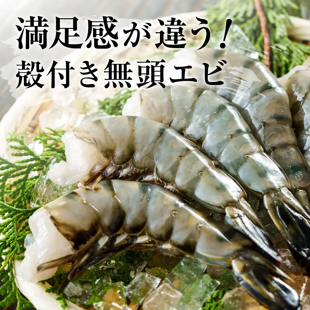 【12回定期便】特大 ブラックタイガー 無頭えび 570g前後（15尾）×12回