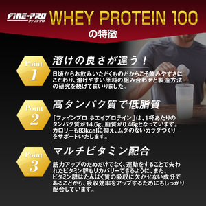 R-4　ファインプロ ホエイプロテイン100　チョコ味 2個セット