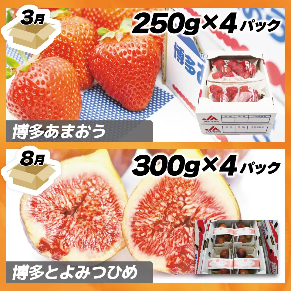 【定期便】福岡県ブランドフルーツ定期便（年４回） ブランド いちご いちじく みかん 柿 大人気 NO1 限定品 高級 フルーツ 果物 くだもの 特別 冷蔵 プレゼント 九州 福岡 宮若市 ふるさと納税 おすすめ 送料無料 M771