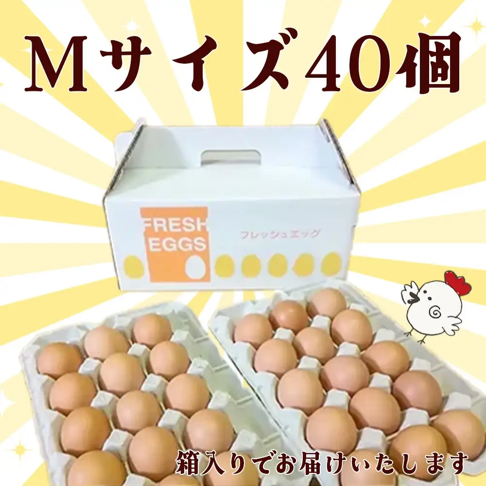 自然飼い　純国産鶏「もみじ」卵　40個入　（Mサイズ）　【04209-0235】　たまご