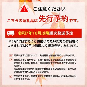R7年産先行予約 定期便 60kg 10kg×6回 特別栽培米 コシヒカリ コンテスト 入賞米 米 おこめ お米 ブランド米 ご飯 ごはん オニギリ お弁当 玄米 対応可 kome  5kg 2袋  送料無料 数量限定 農家直送 産地直送 国産 川瀬農園 新潟 新発田 kawase4002