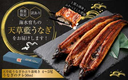 【数量限定】 【訳あり】 【ミシュラン星付きのプロが愛用】海水育ちの 天草 藍うなぎ 小ぶり 蒲焼 500g（4～5尾）  養殖期間中 無投薬 鰻 ウナギ うなぎ うなぎ蒲焼 鰻の蒲焼 国産 【2026年6月下旬より順次発送予定】