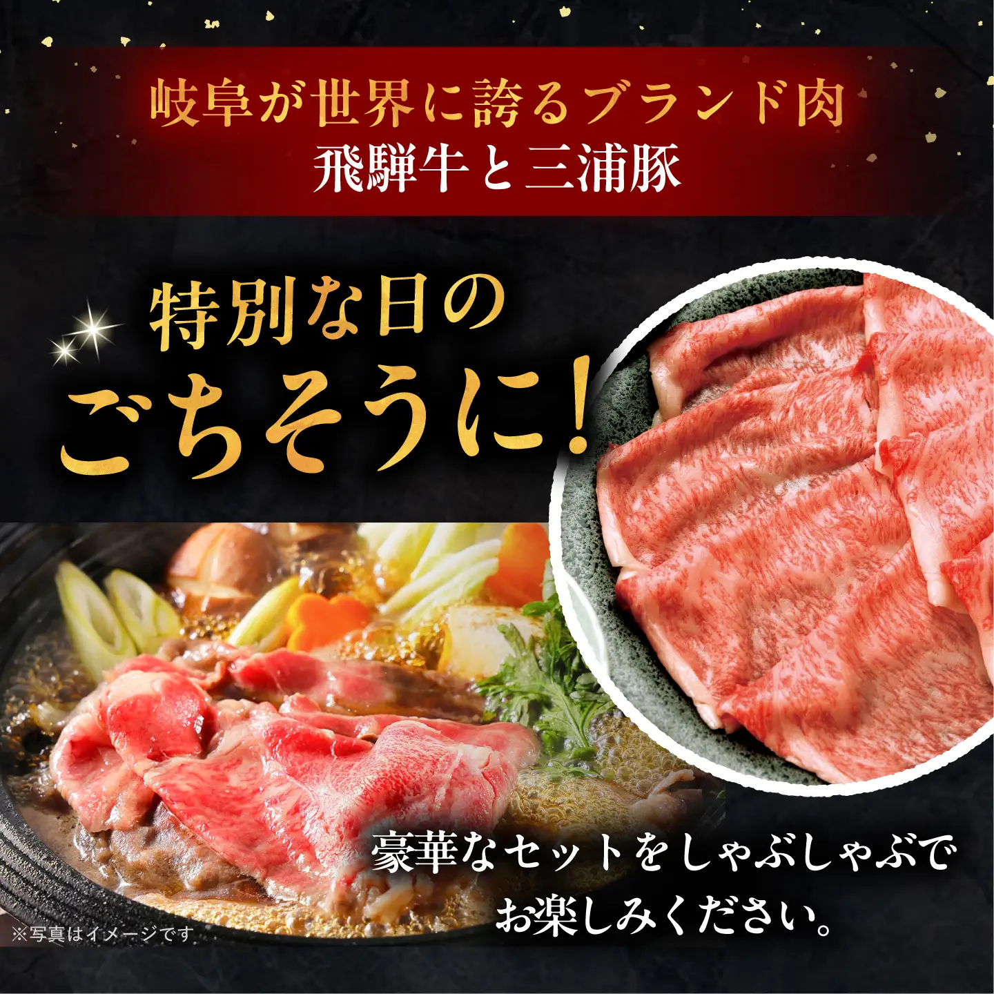 【12回定期便】 飛騨牛ロース1kg カルビ700g 三浦豚ロース900g 豪華3点セット 各種類1パック しゃぶしゃぶ・焼肉 / 恵那市 / 岩島屋 [AUAJ032]