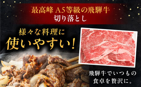 【6回定期便】 飛騨牛 切り落とし肉 A5ランク 500g×2パック (1kg) / 恵那市 / 岩島屋 [AUAJ034]