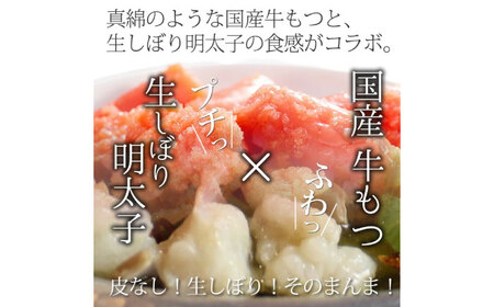 もつ鍋 明太醤油味 2-3人前 [ABDF143] もつ鍋