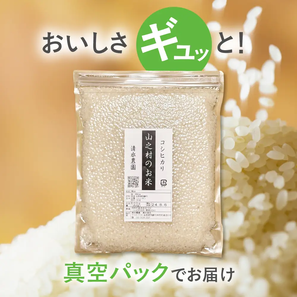 お試し 600g 飛騨産 コシヒカリ / 米 お米 約4合 清水農園 [DU010-26]