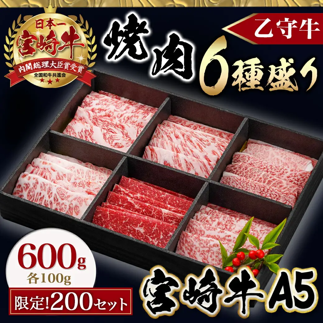 ≪限定200セット≫隔月6回お届け!【宮崎牛A5】焼肉6種盛り(乙守牛）〔T192-6-6501〕_(都城市) 都城産宮崎牛 A5 焼肉6種盛 各100g ロース/肩ロース/ウデ/バラ/モモ(赤身)/モモ(霜降り) 隔月6回お届け