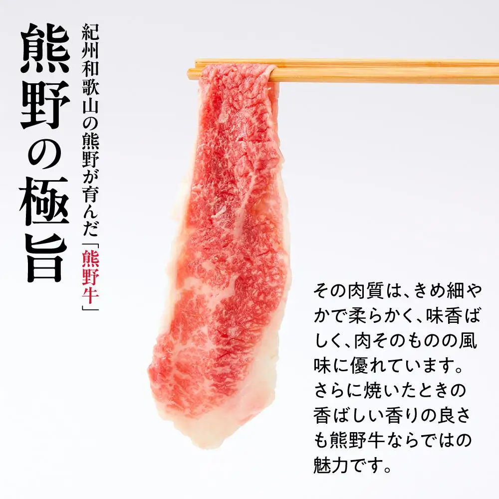 【定期便】熊野牛 万能スライス 1kg ×年6回 偶数月 配送【MT9】