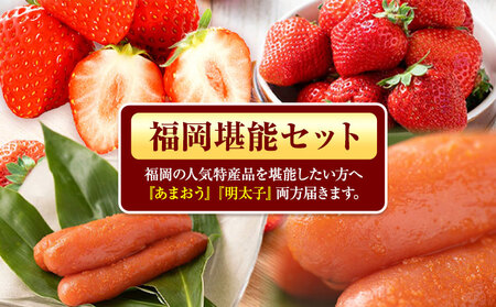 福岡県産あまおうギフト箱 & ふくや味の明太子 540g 南国フルーツ株式会社《12月上旬-3月末頃出荷》福岡県 小竹町 あまおう いちご めんたいこ 明太子 セット 送料無料【配送不可地域あり】