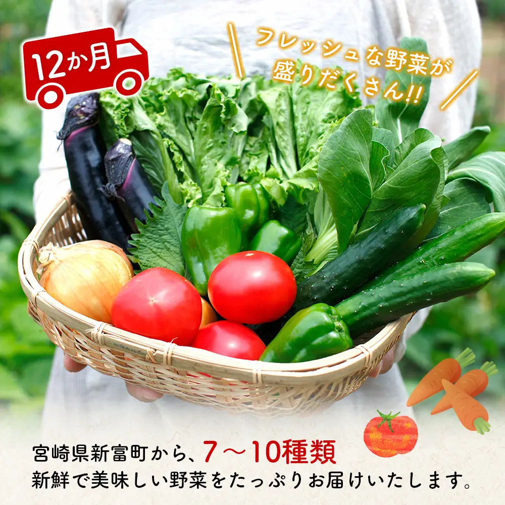 【12か月】野菜定期便 2027年出荷 野菜セット G51-27