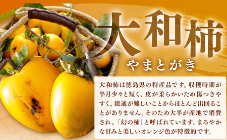 佐那河内村産 こだわりの大和柿 500g