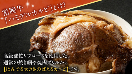【 常陸牛 】A5 等級 ハミデルカルビ 500g (3～5枚)  (茨城県共通返礼品)