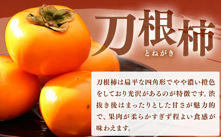 佐那河内村産 こだわりの刀根柿 500g 