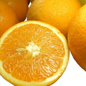 バレンシアオレンジ [約7kg] 湯浅町田村産 (無選別・果実サイズ混合・ご家庭用) 春みかん / 紀伊国屋文左衛門本舗_V7079