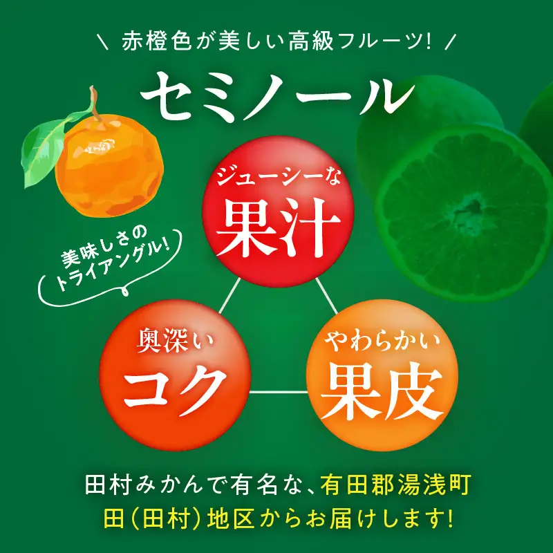 【2027年先行予約】セミノールオレンジ 約5kg 湯浅町田村産 春みかん （果実サイズおまかせ）/ 紀伊国屋文左衛門本舗_V7078