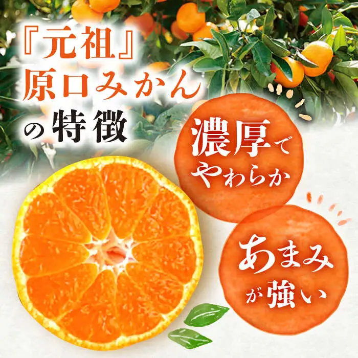 原口みかん 5kg みかん CCW001