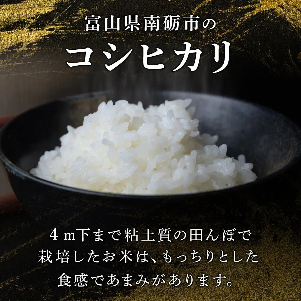 【令和8年産】みどりふぁーむのコシヒカリ 10kg 米 お米 白米
