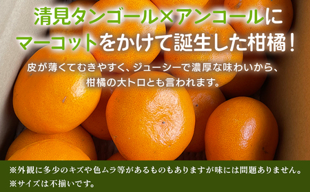【先行予約】＜せとか 家庭用 約5kg＞ 訳あり わけあり 自宅用 果物 フルーツ みかん ミカン 蜜柑 オレンジ 柑橘 セトカ 選べる ジューシー サイズ不揃い 食べて応援 特産品 柑橘園柴田 愛媛県 西予市【常温】『2027年2月下旬～3月中旬迄に順次出荷予定』MKE0008