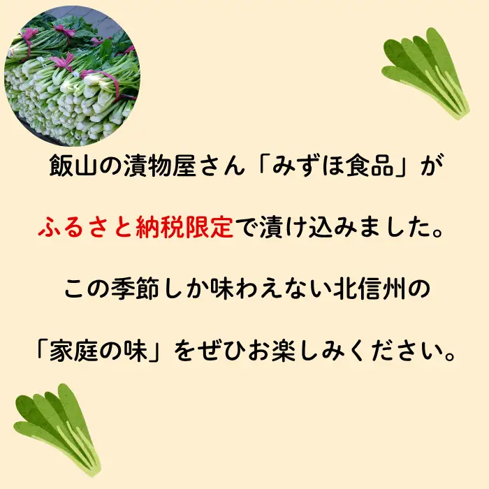 【期間限定】《3kg》 野沢菜 本漬 （Bl-004）野沢菜