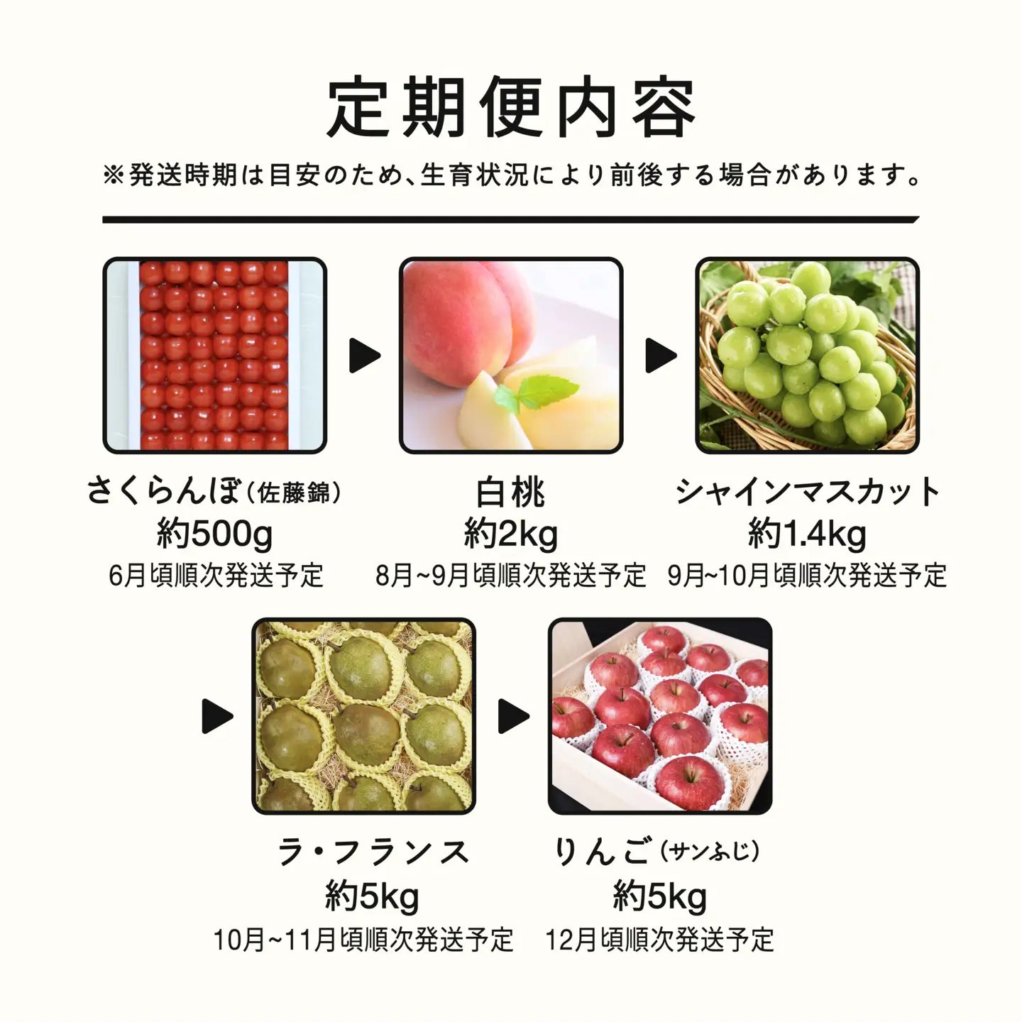 【先行予約】【秋始まり】和 フルーツ 定期便 山形 2026年産 2027年産 さくらんぼ 佐藤錦 桃 もも シャインマスカット ラ・フランス りんご サンふじ 全5回 フルーツ定期便 mm-ft5xx