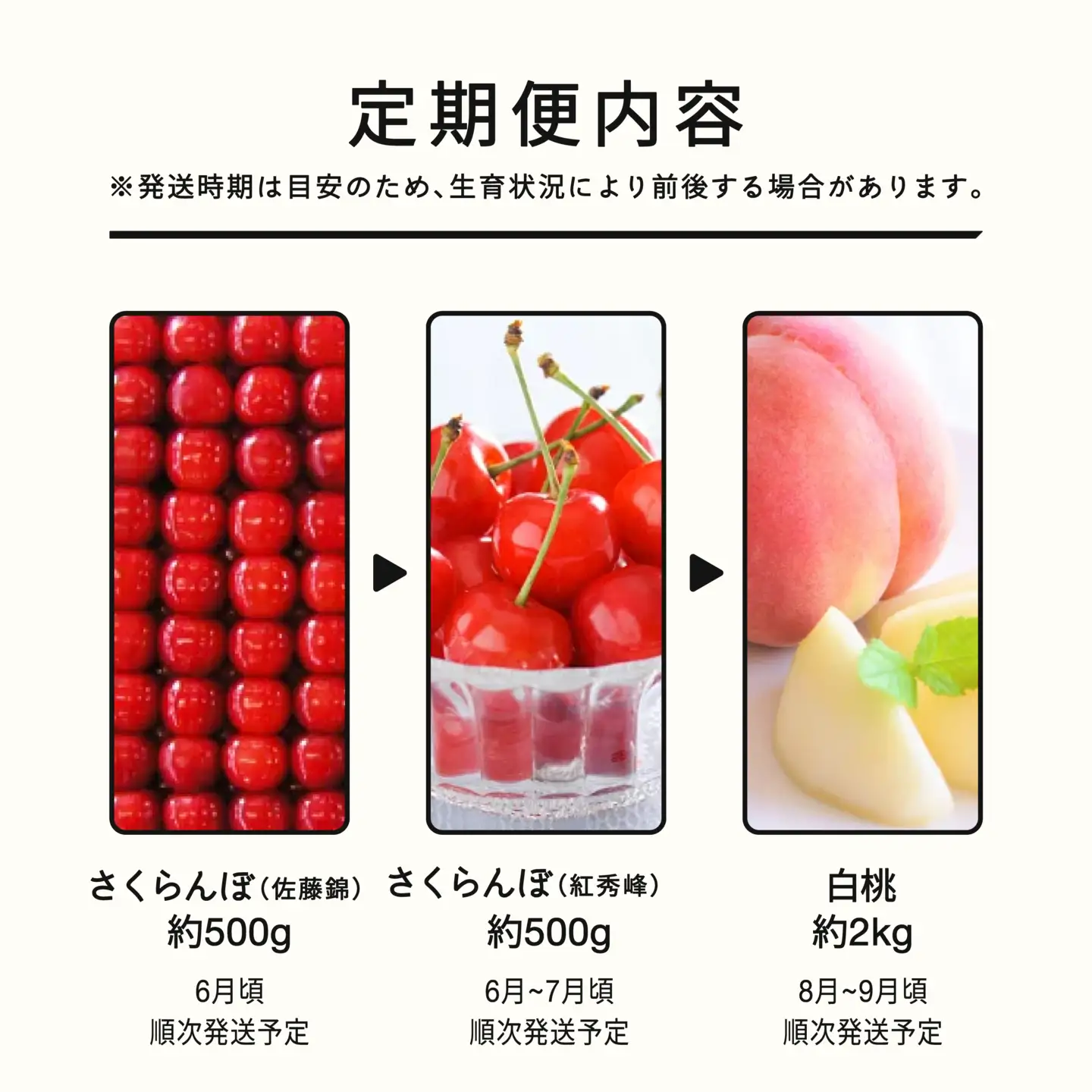 【先行予約】【秋始まり】雅 フルーツ 定期便 山形 2026年産 2027年産 ラ・フランス りんご サンふじ さくらんぼ 佐藤錦 紅秀峰 桃 もも シャインマスカット 全6回 フルーツ定期便 mm-ft6my