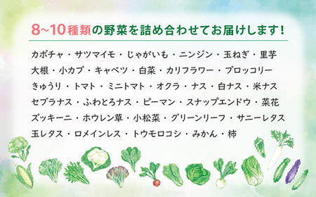 今が旬！お野菜の詰め合わせセット