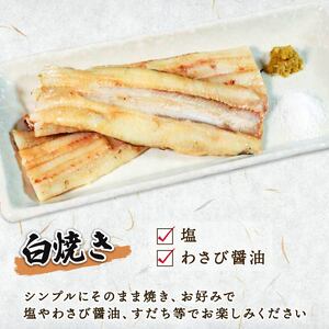 あなご開き 2～3パック(計900g) あなご 冷凍 穴子 アナゴ 白焼き 蒲焼 お吸い物 天ぷら 煮穴子 和食 海産物 味噌汁 ごはん 夕飯 おかず 大船渡 三陸 岩手県 国産