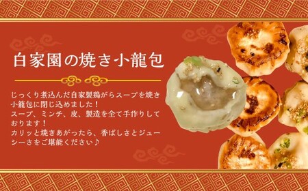 焼き小籠包 8個×5袋 計40個 ／ 小籠包 焼き小籠包 中華 惣菜 点心 名物 長崎