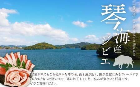 【7営業日以内発送】ぼたんつみれ鍋セット ／ 猪 イノシシ いのしし 猪肉 ジビエ スライス ミンチ 長崎県 長崎市