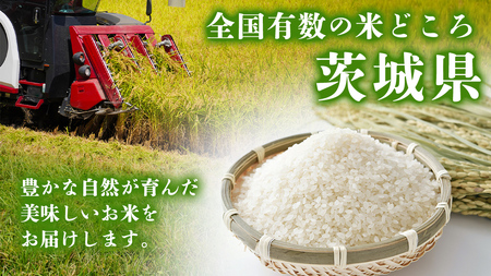 【 1月上旬発送 / 数量限定 】 茨城県産 コシヒカリ 精米 10kg (5kg×2袋） 令和6年産 こしひかり 米 コメ こめ 単一米 限定 茨城県産 国産 美味しい お米 おこめ おコメ