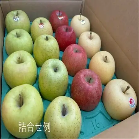 園主おススメ!　旬のりんご詰め合わせ　【贈答用】　約5キロ　4品種食べ比べ_果物・フルーツ りんご  リンゴ 林檎_【1568465】