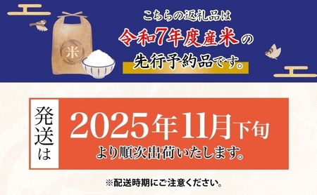 はつしも 精米 低農薬 岐阜県産 はつしも【20kg】【先行予約】