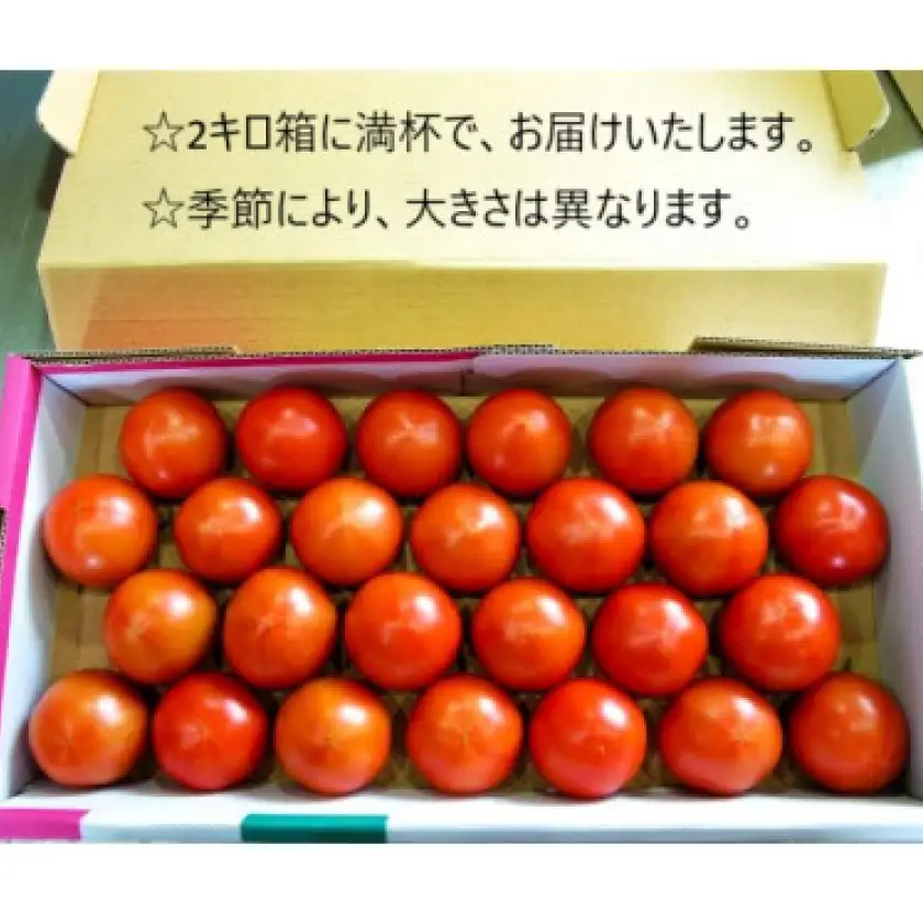 【事前受付】フルーツトマト(深層水トマト)2キロ【濃厚な甘みと旨み】【配送不可地域：離島】【1565698】
