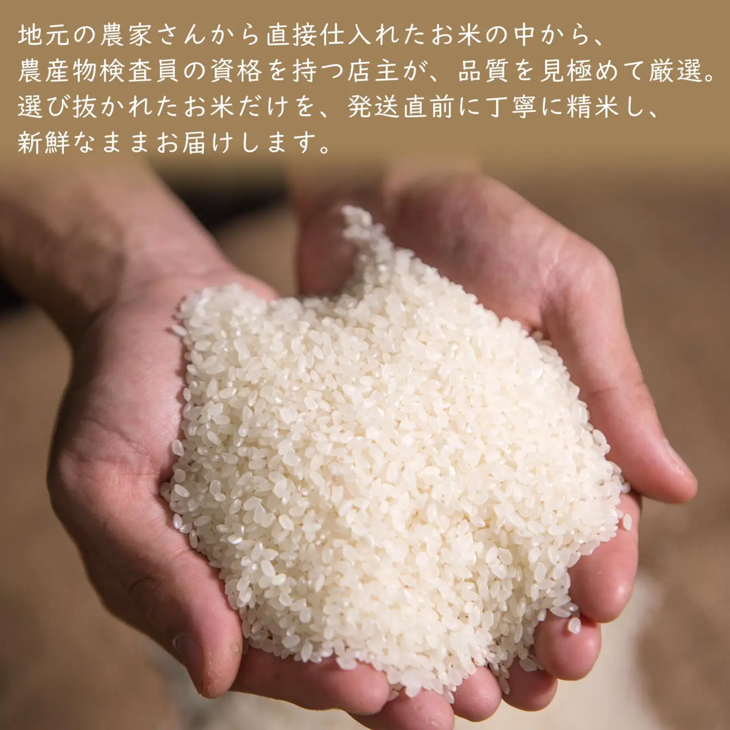 米 無洗米 コシヒカリ 5kg 新米 令和8年産 米 S269