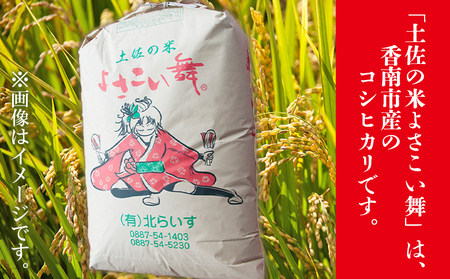 【コシヒカリ】高知県産 よさこい舞（偶数月) 5kg 合計10kg【米 コシヒカリ 国産 コシヒカリ 美味しい コシヒカリ 伝統 コシヒカリ よさこい舞 コシヒカリ】香南市 Wkr-0091