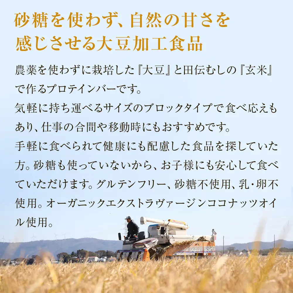 だいずばぁ 3本入り× 8個 プロテインバー グルテンフリー