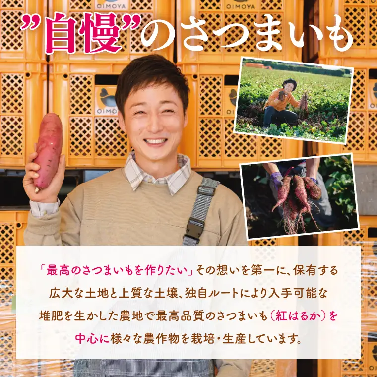 冷凍 壺焼き芋 栗かぐや1kg（500g×2）【さつまいも 芋 いも  焼き芋 焼芋 やきいも 茨城県 水戸市 水戸 5000円以内】（IN-15)