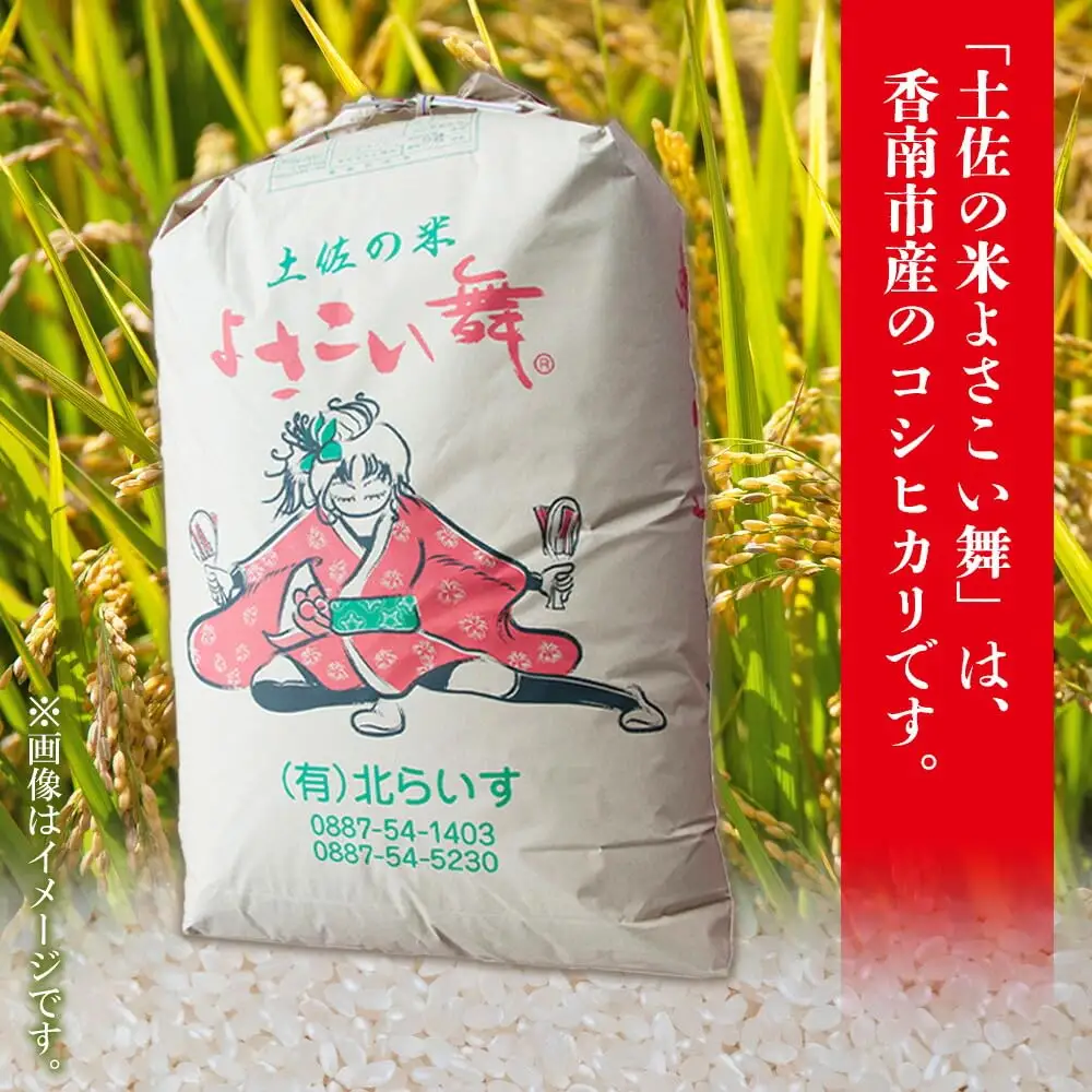 【コシヒカリ】高知県産 よさこい舞 12ヶ月 5kg 合計60kg【コシヒカリ 国産 コシヒカリ 美味しい コシヒカリ 伝統 コシヒカリ よさこい舞】香南市 Wkr-0093