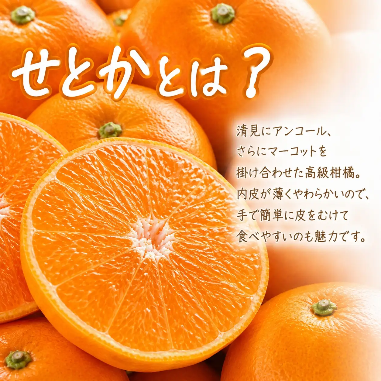 【ご家庭用訳あり】ジューシー柑橘 せとか 約3kg【先行予約】※2027年2月下旬頃〜3月中旬頃発送予定（お届け日指定不可） せとか みかん ミカン 柑橘 フルーツ 果物 くだもの【uot834A】