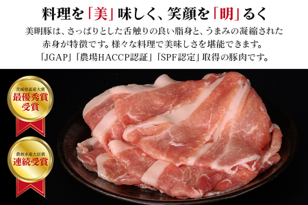 549 豚肉 ロース 薄切り 1.1kg 茨城県 ブランド豚 美明豚 SPF豚 肉質 柔らか ジューシー 甘み【茨城県共通返礼品/行方市】