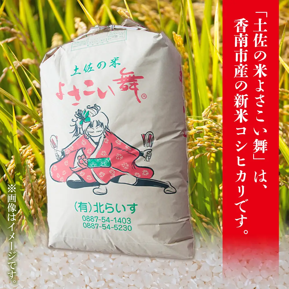 【令和8年産 新米】新米 5kg おいしいコシヒカリ！ 土佐の米よさこい舞 - 令和8年産 こしひかり お米 おこめ コメ 美味しい おいしい 新米 白米 ご飯 ごはん ライス のし 備蓄 農家直送 高知県 香南市 kr-0087