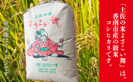 【令和8年産 新米】よさこい舞 10kg【米 コシヒカリ 国産 米 美味しい 新米 伝統 米 よさこい舞 米 コシヒカリ】 kr-0088