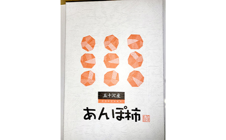 【五十沢ブランド】五十沢産 あんぽ柿 蜂谷柿12個入り800g箱詰め あんぽ柿 ドライフルーツ 干柿 干し柿 F20C-993